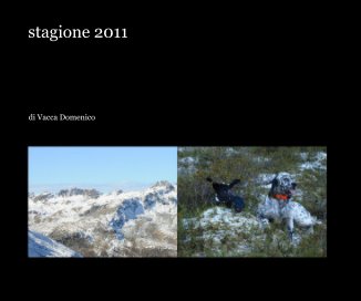 stagione 2011 book cover