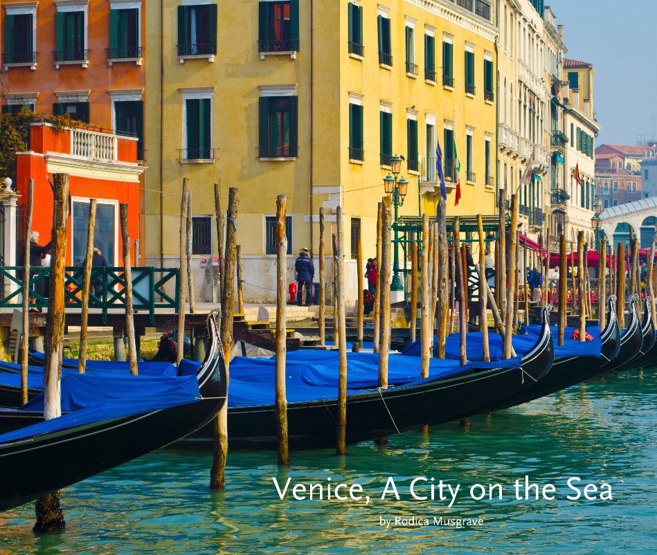 View Venice, A City on the Sea by Rodica Musgrave