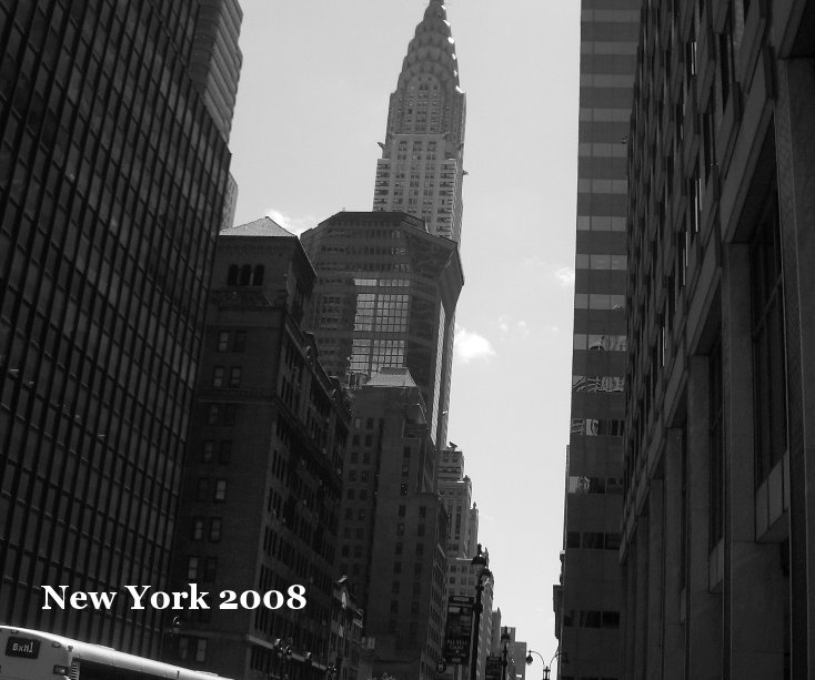 View New York 2008 by midan