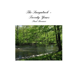 The Saugatuck - Twenty Years Paul Brenner book cover