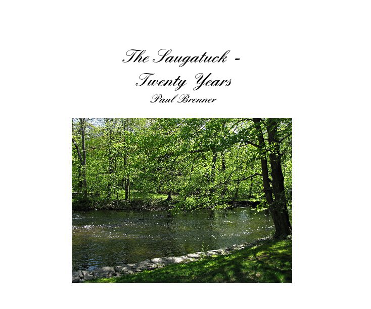 The Saugatuck Twenty Years Paul Brenner by Paul Brenner Blurb Books