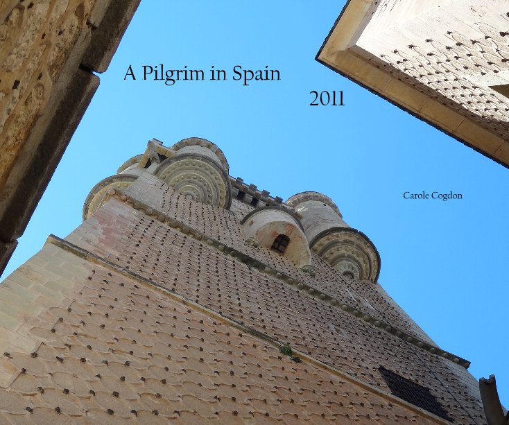 View A Pilgrim in Spain 2011 by Carole Cogdon