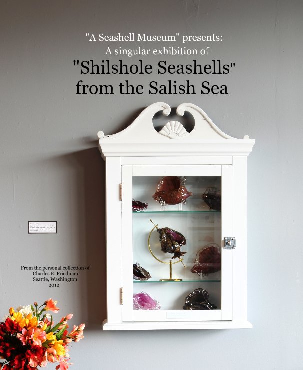View "A Seashell Museum" presents: A singular exhibition of "Shilshole Seashells" from the Salish Sea From the personal collection of Charles E. Friedman Seattle, Washington 2012 by glass1