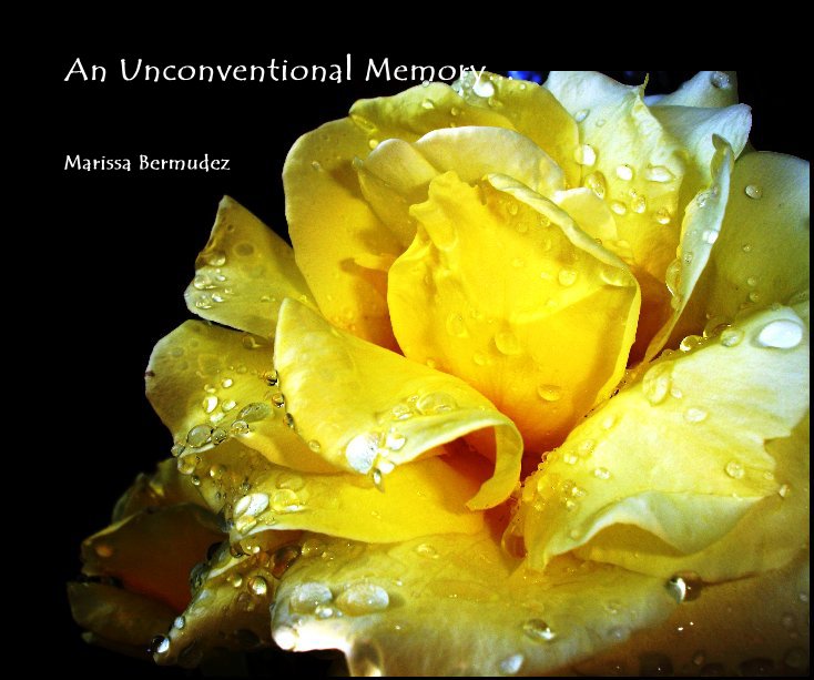 View An Unconventional Memory... by Marissa Bermudez