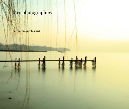 Mes photographies book cover
