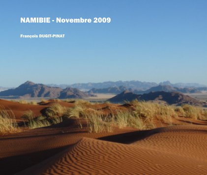 NAMIBIE - Novembre 2009 book cover