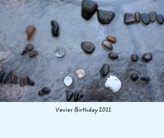 Vevies Birthday 2011 book cover
