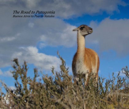The Road to Patagonia Buenos Aires to Puerto Natales book cover