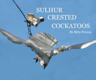 SULPHUR CRESTED COCKATOOS book cover