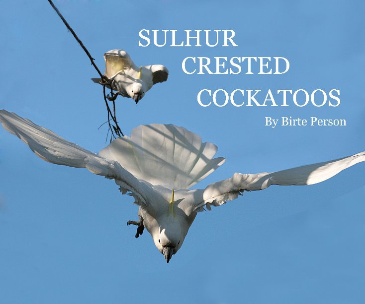 View SULPHUR CRESTED COCKATOOS by wreckedearth