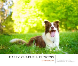 Harry, Charlie & Princess book cover