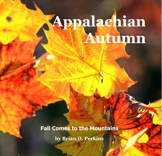 View Appalachian Autumn by Brian D. Perkins