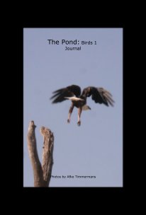 The Pond: Birds 1 Journal book cover