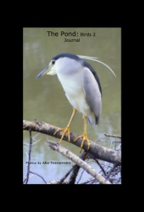 The Pond: Birds 2 Journal book cover