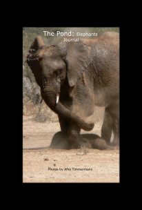 The Pond: Elephants Journal book cover