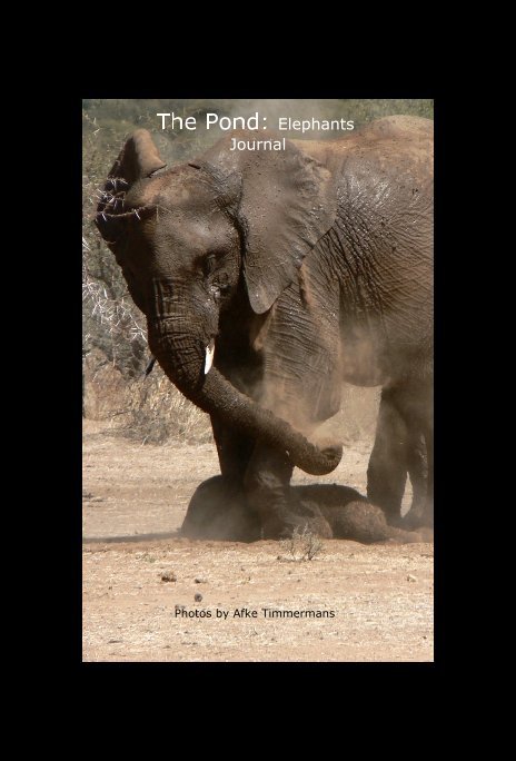 Ver The Pond: Elephants Journal por Photos by Afke Timmermans