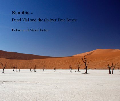 Namibia - Dead Vlei and the Quiver Tree Forest book cover