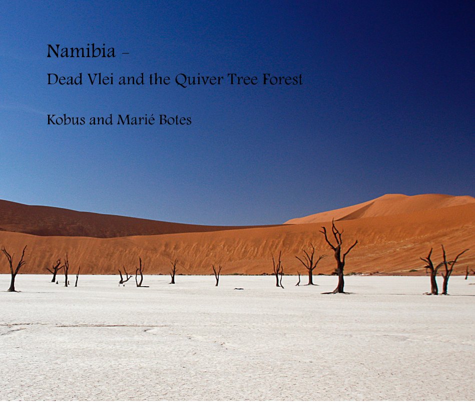 View Namibia - Dead Vlei and the Quiver Tree Forest by Kobus and Marié Botes