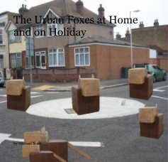 The Urban Foxes at Home and on Holiday book cover
