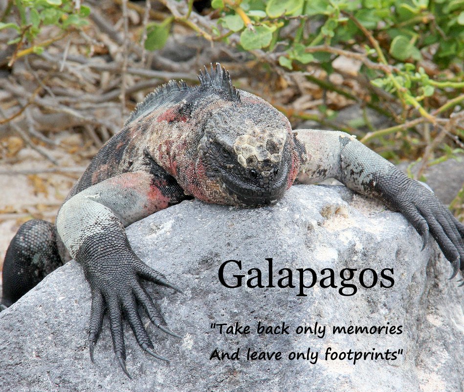 View Galapagos "Take back only memories And leave only footprints" by bumbidog