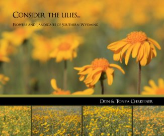 Consider the lilies... book cover