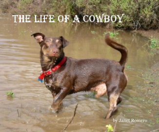 The Life of a Cowboy book cover