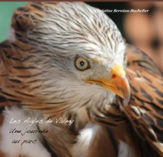 Les Aigles de Valmy-Une journée au parc book cover