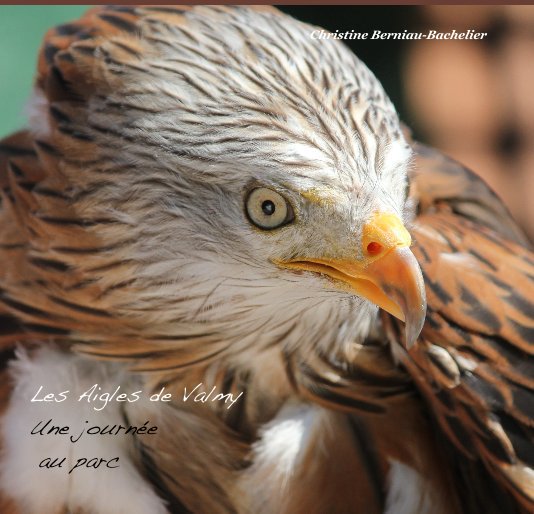 Bekijk Les Aigles de Valmy-Une journée au parc op Christine Berniau-Bachelier