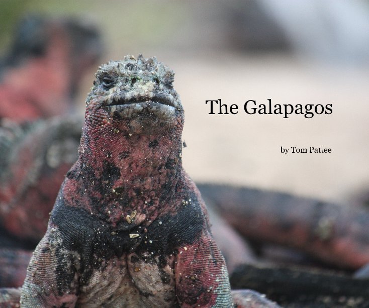 View The Galapagos by Tom Pattee