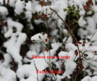 Jardins sous la neige book cover
