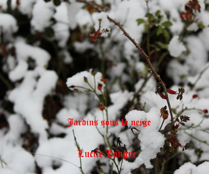 View Jardins sous la neige by Lucile Longre