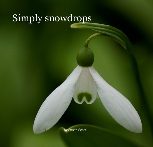 View Simply snowdrops by Susan Scott