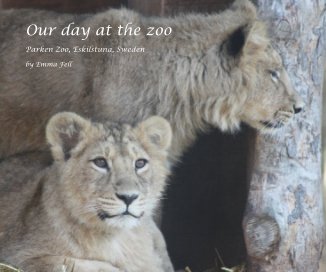 Our day at the zoo book cover