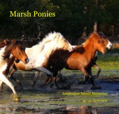 Marsh Ponies book cover