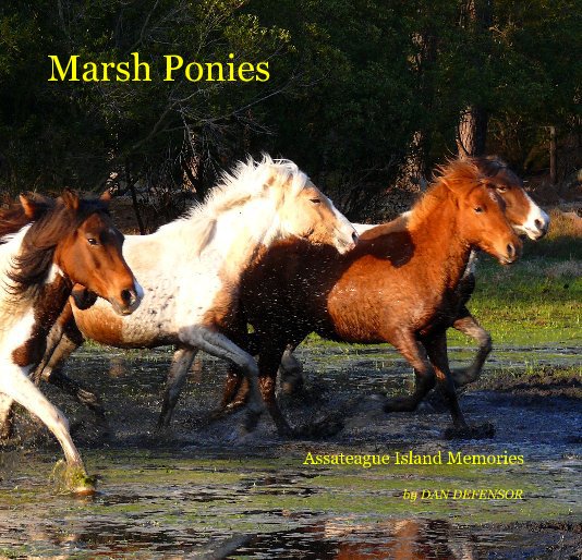 View Marsh Ponies by DAN DEFENSOR
