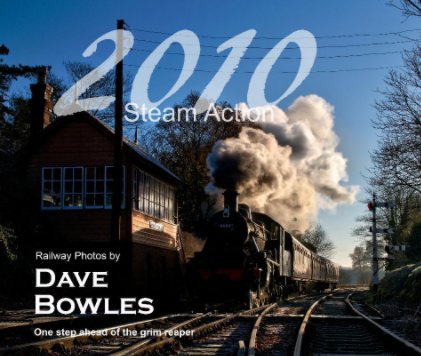 Steam Action 2010 book cover