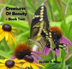 Creatures Of Beauty - Book Two book cover