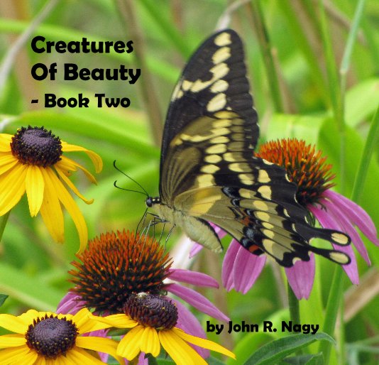 View Creatures Of Beauty - Book Two by John R. Nagy