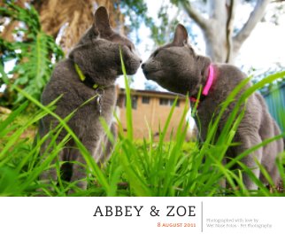 Abbey & Zoe book cover