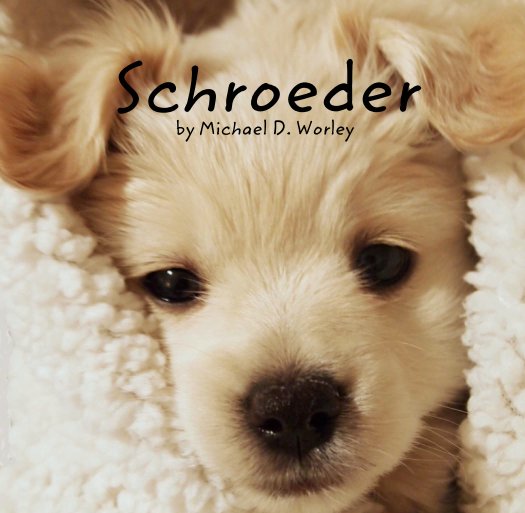 View Schroeder by Michael D. Worley