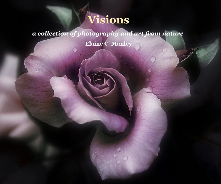 View Visions by Elaine C. Manley