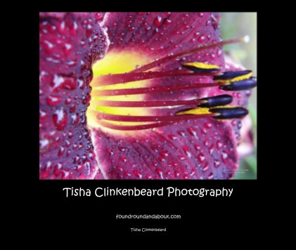 Tisha Clinkenbeard Photography book cover