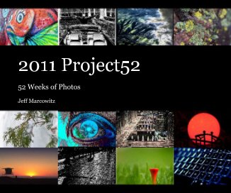 2011 Project52 book cover