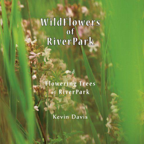 View Wildflowers of RiverPark by Kevin Davis