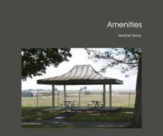 Amenities book cover