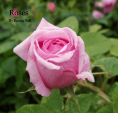 Roses book cover