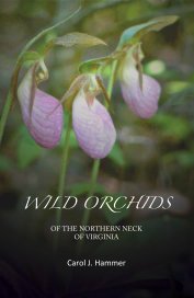 WILD ORCHIDS OF THE NORTHERN NECK OF VIRGINIA Carol J. Hammer book cover