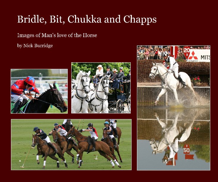 View Bridle, Bit, Chukka and Chapps by Nick Burridge