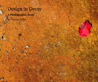 Design in Decay book cover