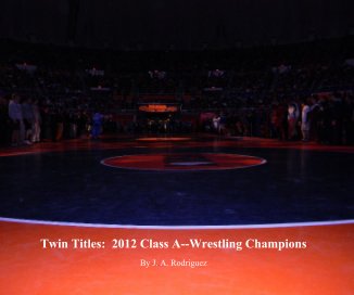 Twin Titles book cover